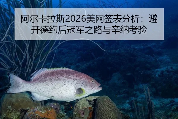 阿尔卡拉斯2026美网签表分析：避开德约后冠军之路与辛纳考验